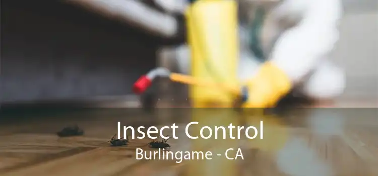 Insect Control Burlingame - CA