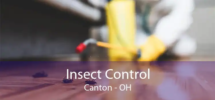 Insect Control Canton - OH