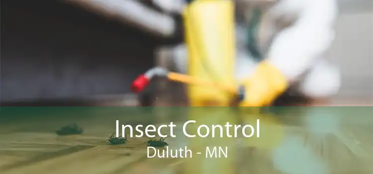 Insect Control Duluth - MN