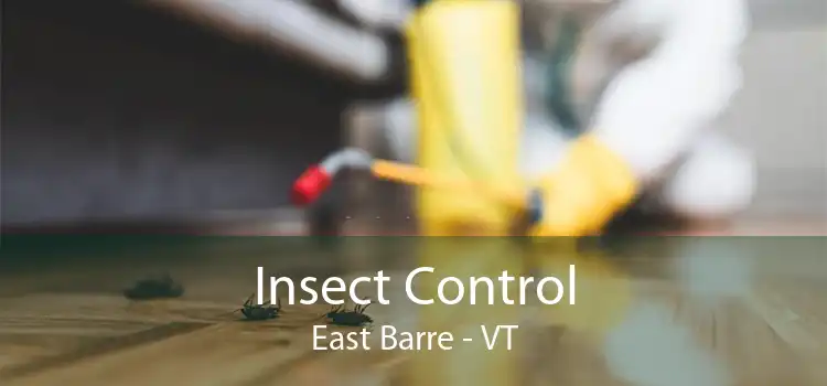 Insect Control East Barre - VT