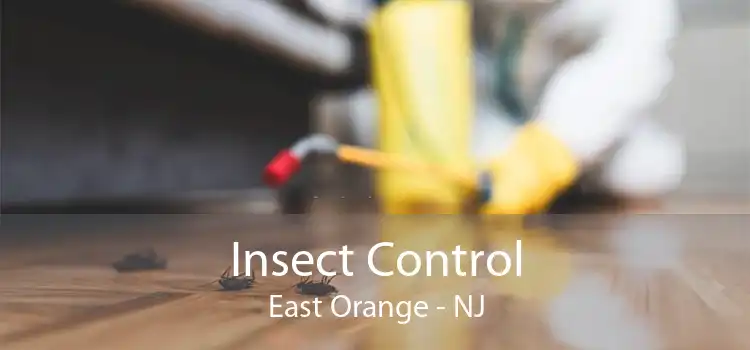 Insect Control East Orange - NJ