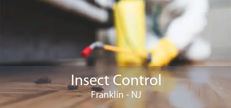 Insect Control Franklin - NJ