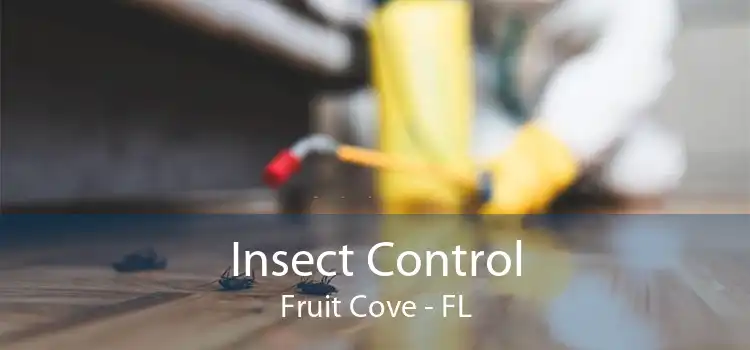 Insect Control Fruit Cove - FL