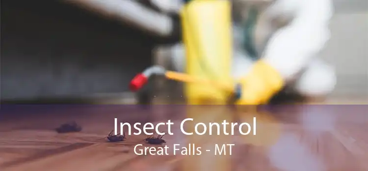 Insect Control Great Falls - MT