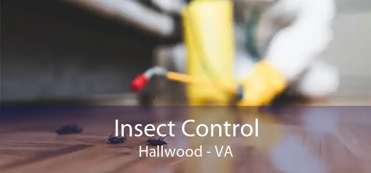 Insect Control Hallwood - VA