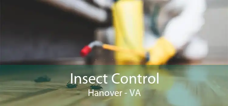 Insect Control Hanover - VA