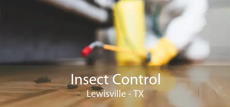 Insect Control Lewisville - TX