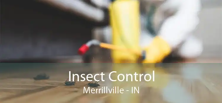 Insect Control Merrillville - IN