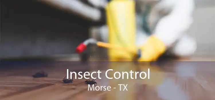 Insect Control Morse - TX