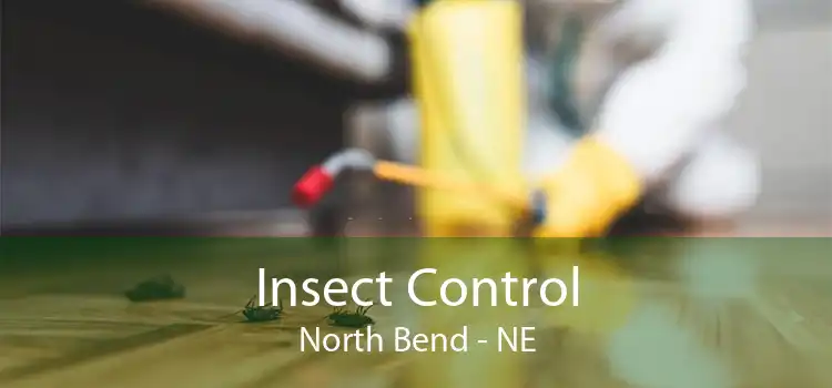 Insect Control North Bend - NE