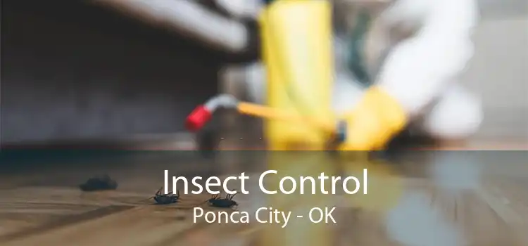 Insect Control Ponca City - OK