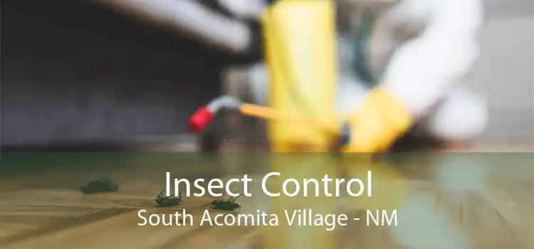 Insect Control South Acomita Village - NM