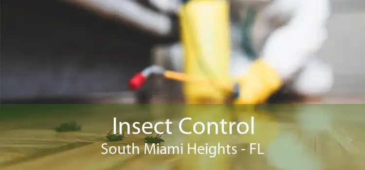 Insect Control South Miami Heights - FL