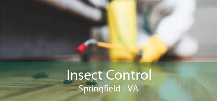 Insect Control Springfield - VA