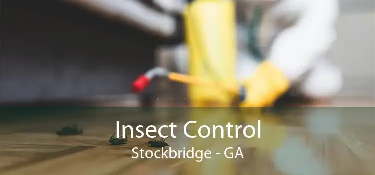 Insect Control Stockbridge - GA