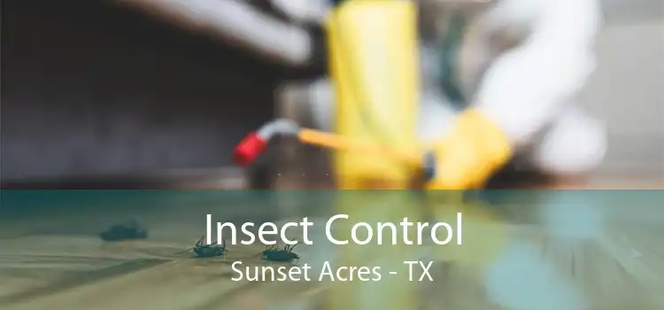 Insect Control Sunset Acres - TX