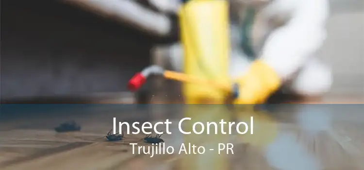 Insect Control Trujillo Alto - PR