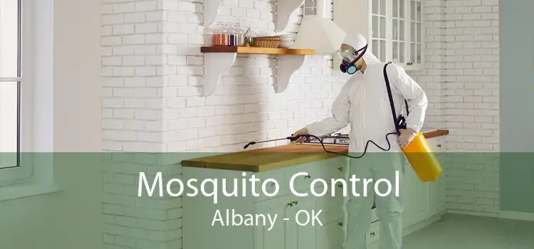 Mosquito Control Albany - OK