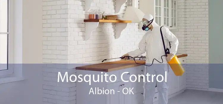 Mosquito Control Albion - OK