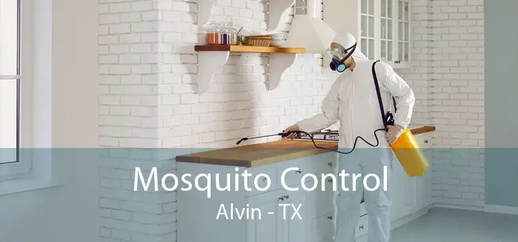 Mosquito Control Alvin - TX