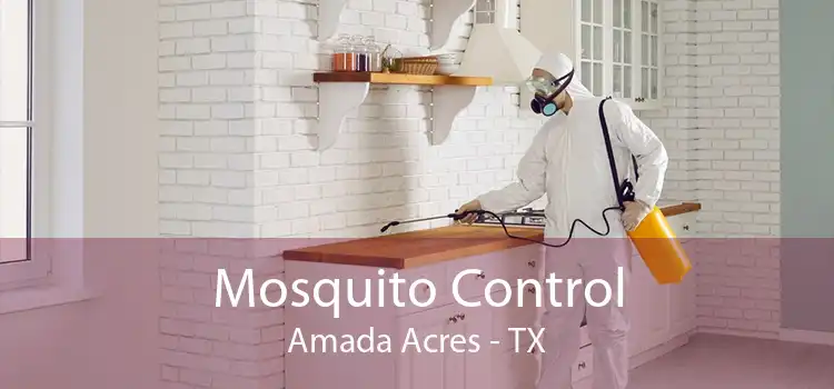 Mosquito Control Amada Acres - TX