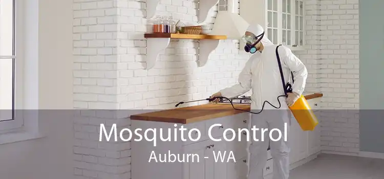 Mosquito Control Auburn - WA