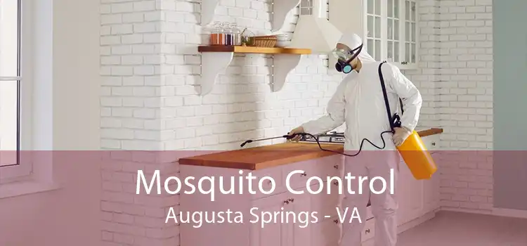 Mosquito Control Augusta Springs - VA