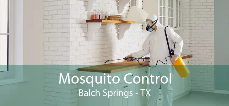 Mosquito Control Balch Springs - TX