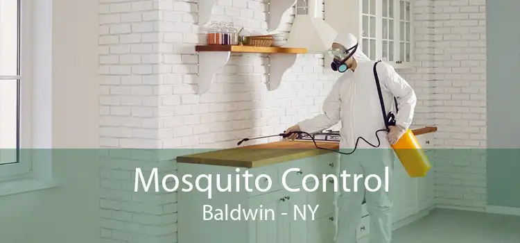 Mosquito Control Baldwin - NY