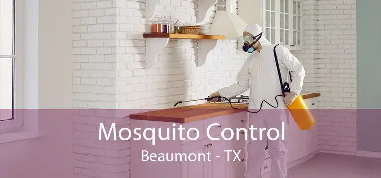 Mosquito Control Beaumont - TX