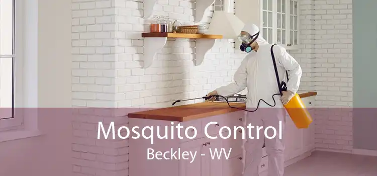 Mosquito Control Beckley - WV