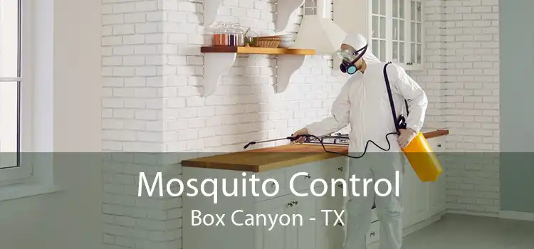 Mosquito Control Box Canyon - TX