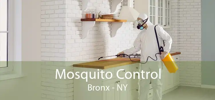 Mosquito Control Bronx - NY