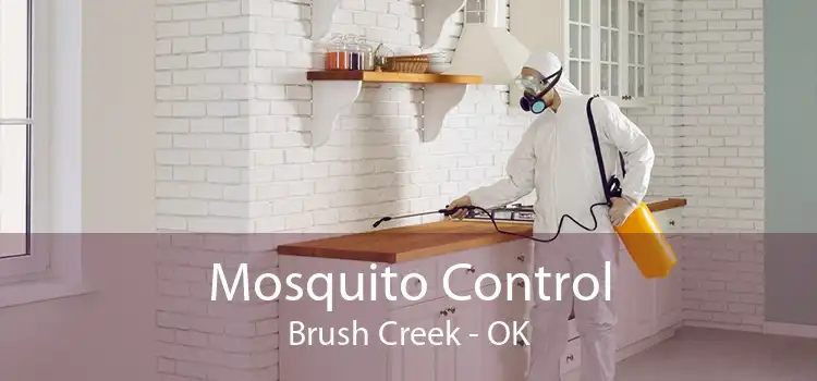 Mosquito Control Brush Creek - OK