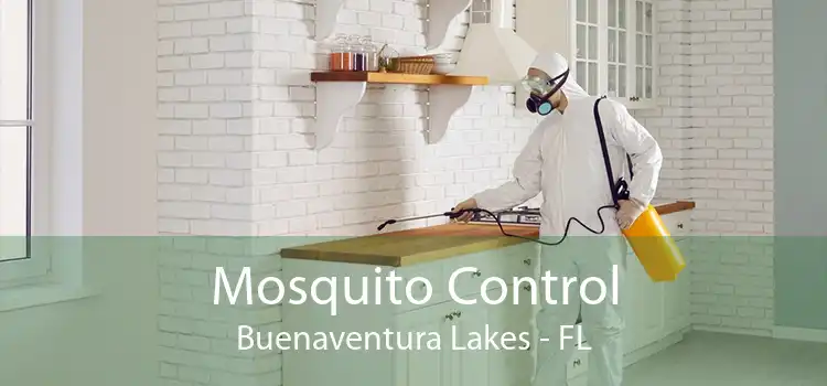 Mosquito Control Buenaventura Lakes - FL