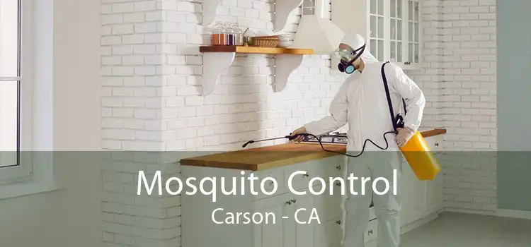 Mosquito Control Carson - CA