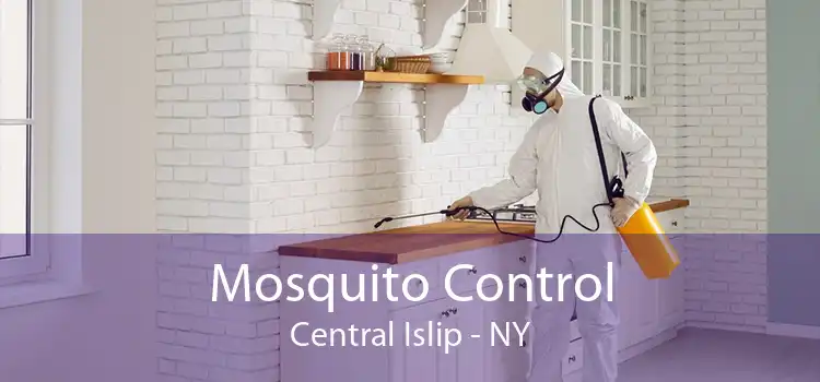 Mosquito Control Central Islip - NY