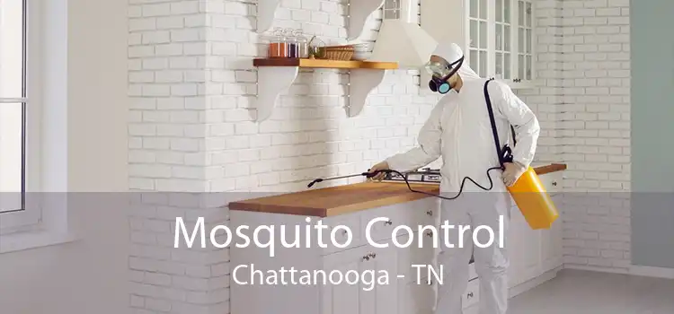 Mosquito Control Chattanooga - TN