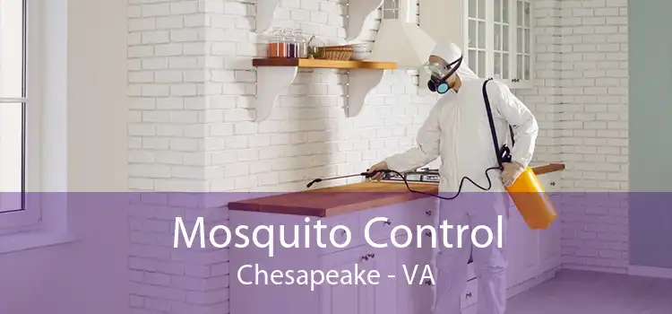 Mosquito Control Chesapeake - VA