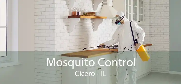 Mosquito Control Cicero - IL