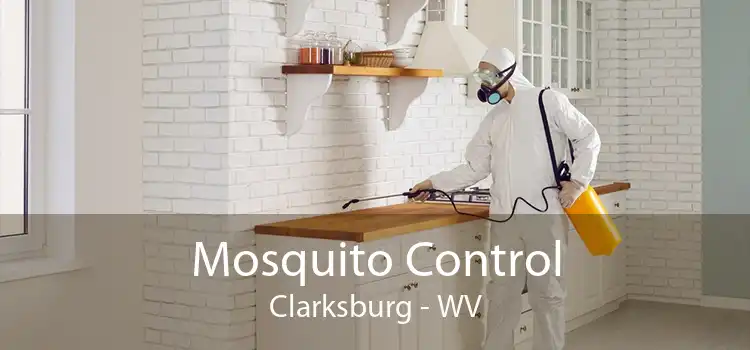 Mosquito Control Clarksburg - WV