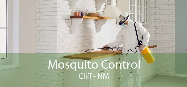 Mosquito Control Cliff - NM