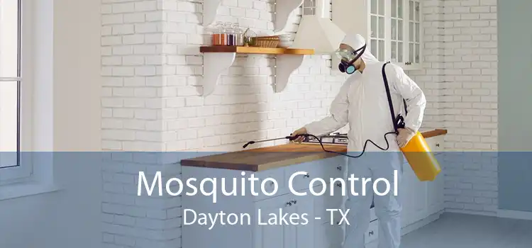 Mosquito Control Dayton Lakes - TX