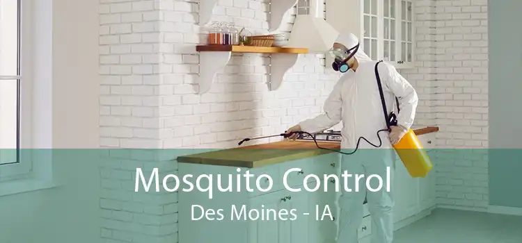 Mosquito Control Des Moines - IA