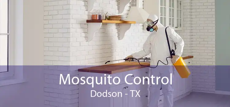 Mosquito Control Dodson - TX