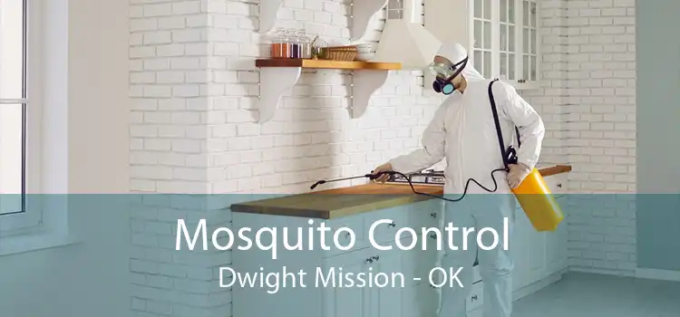 Mosquito Control Dwight Mission - OK