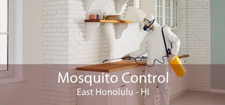 Mosquito Control East Honolulu - HI