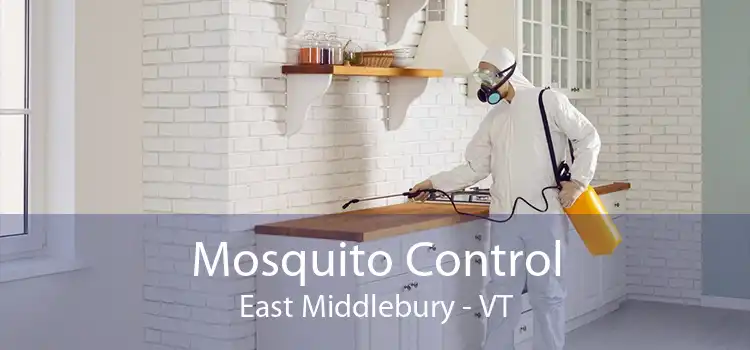 Mosquito Control East Middlebury - VT