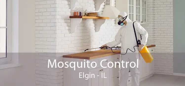 Mosquito Control Elgin - IL