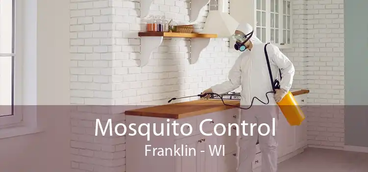 Mosquito Control Franklin - WI